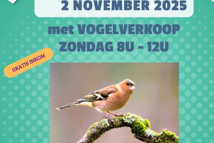 vogelverkoop 2 november 2025 : de botvink meerhout
