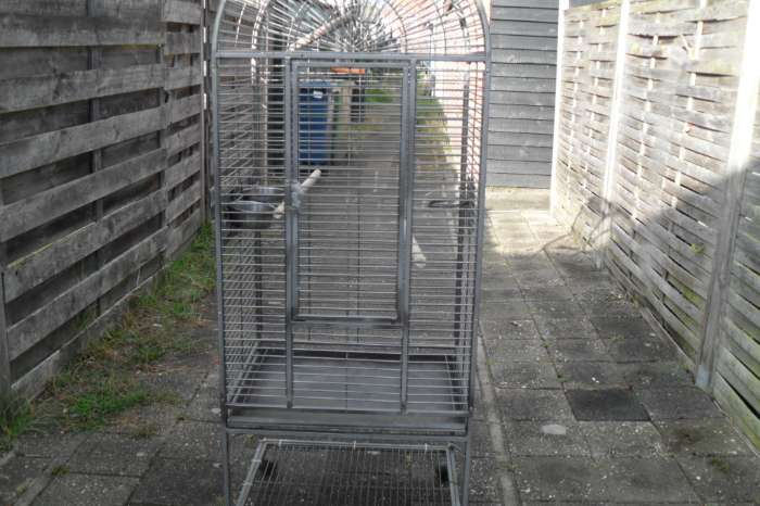 div kooien