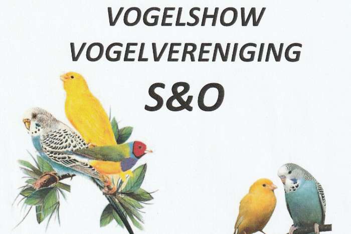 vogelshow schagen & omgeving