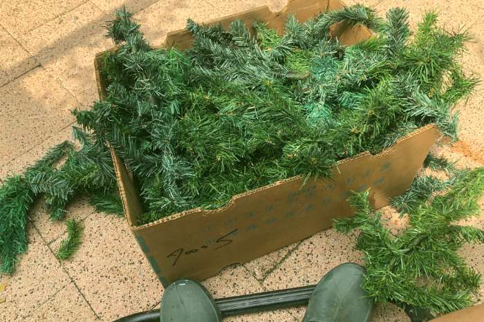 doos vol groen nestmateriaal 3 kleuren bananendoos volle no.6