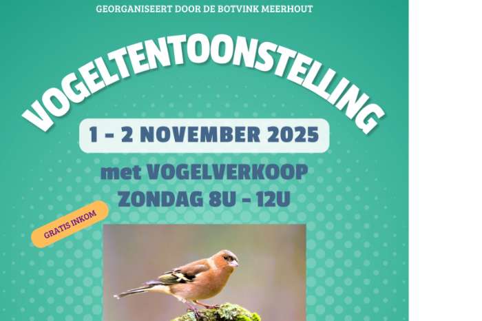 vogeltentoonstelling 1 + 2 november 2025 : de botvink meerhout