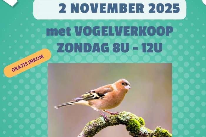vogelverkoop 2 november 2025 : de botvink meerhout