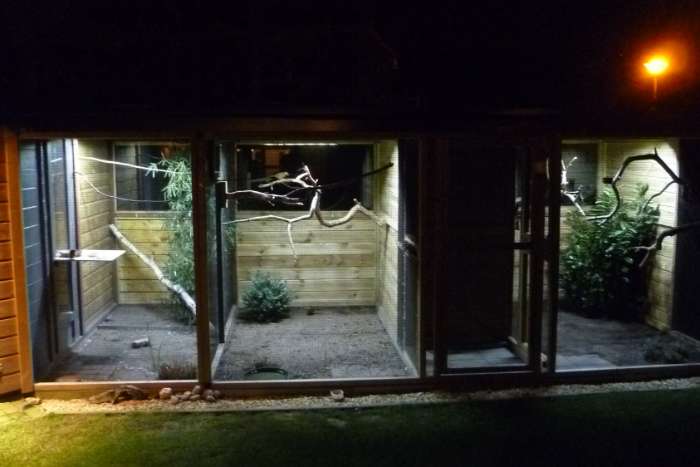 avicultuur-led dimmers voor 'n goed dag/nachtritme