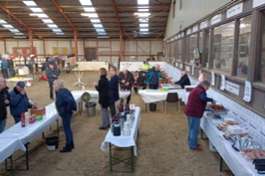 grote vogelbeurs te venlo 2 november 2025.