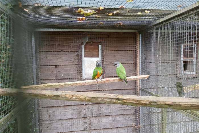 bonte boeren