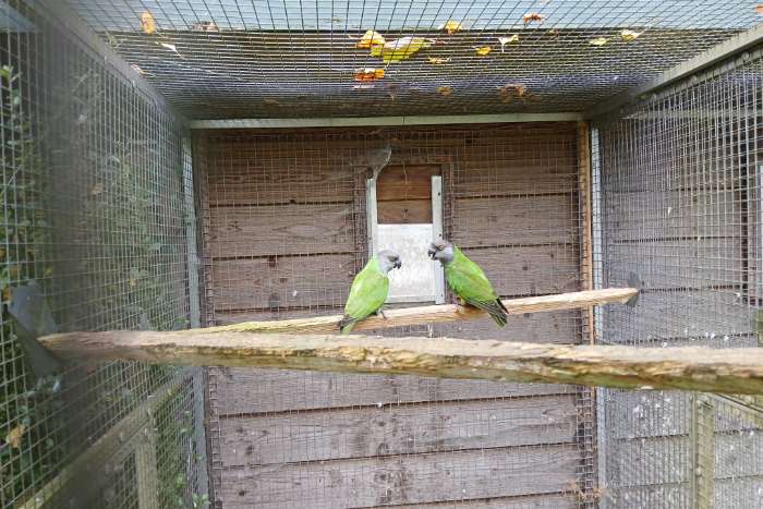 bonte boeren
