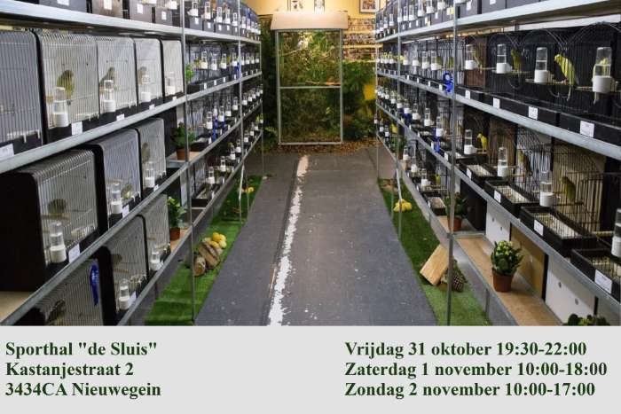 vogelverkoop en tentoonstelling nieuwegein