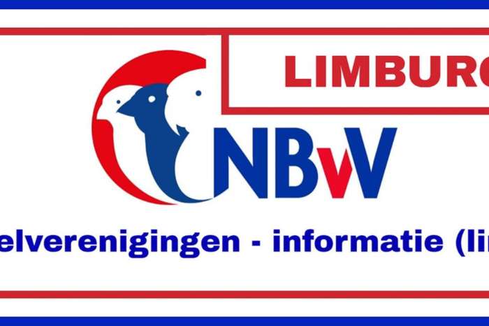 12,  internationale   vogelshow   't, sieske   stein -meers.