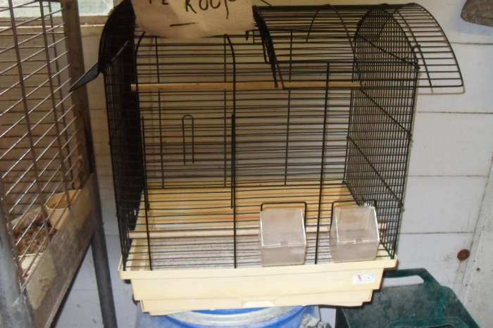 div kooien