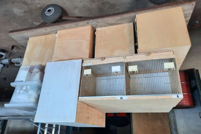 broed - en tt kooien