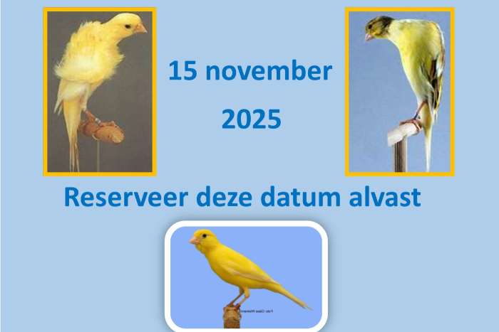 internationale tentoonstelling te leerdam