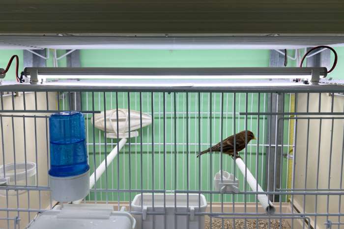 aluminium led tubes in 17-32-52-72-100 cm lengte