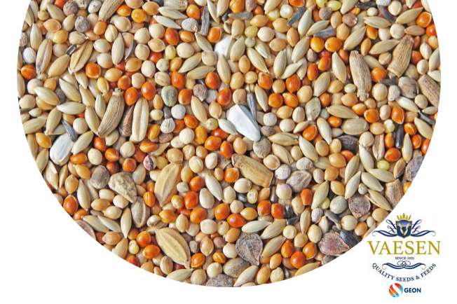 twa twa’s 216 – 20 kg