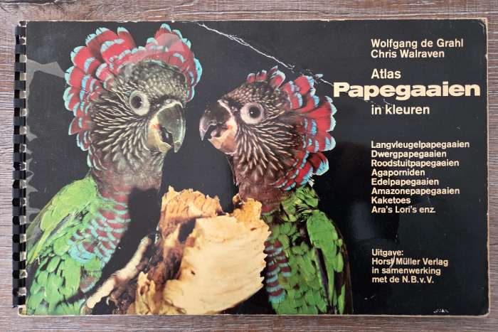 atlas papegaaien in kleur
