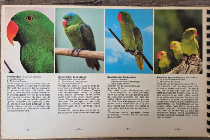 atlas papegaaien in kleur