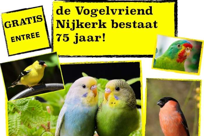 vogelshow 75 jaar de vogelvriend nijkerk