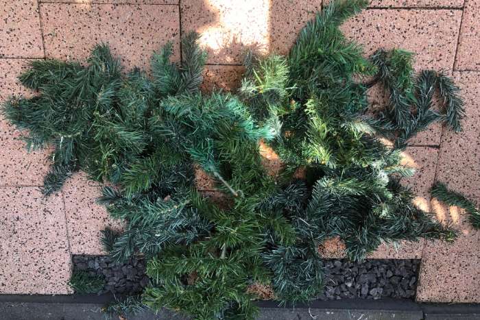 doos vol groen nestmateriaal 3 kleuren bananendoos volle no.6