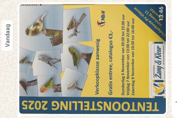 tt   show  in nijverdal