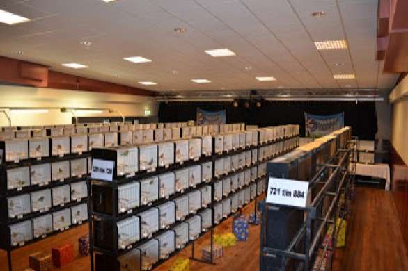 12,  internationale   vogelshow   't, sieske   stein -meers.