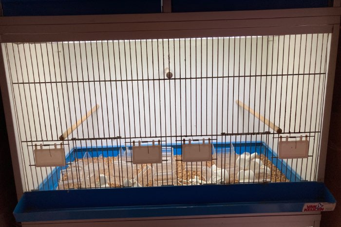 drie van keulen broedkooien.