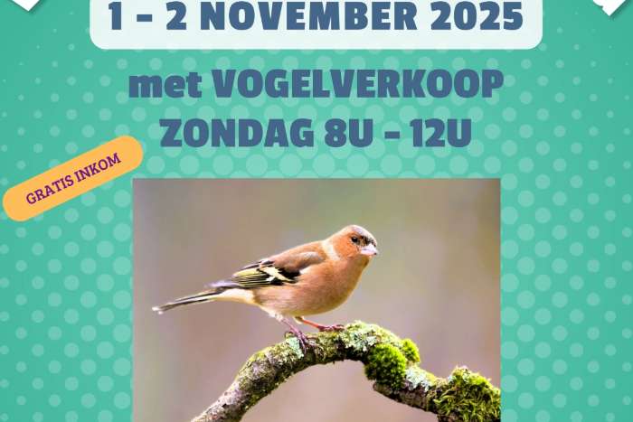 vogeltentoonstelling 1 + 2 november 2025 : de botvink meerhout