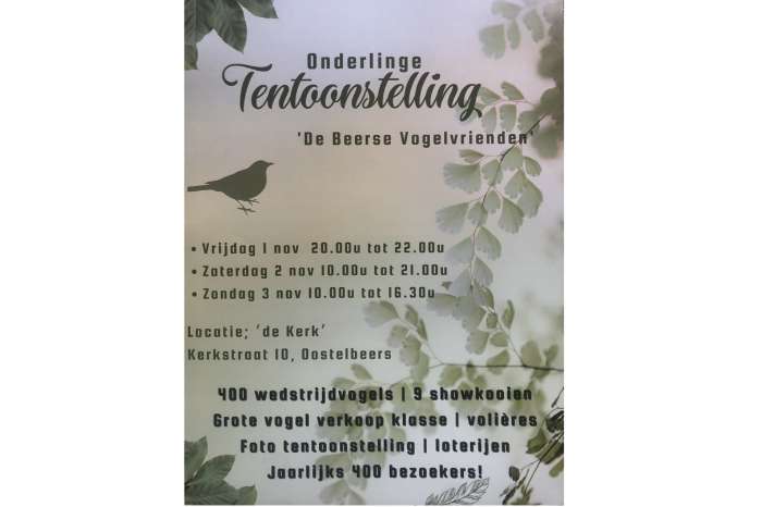 vogelshow in de doornboom - middelbeers (gemeente oirschot)