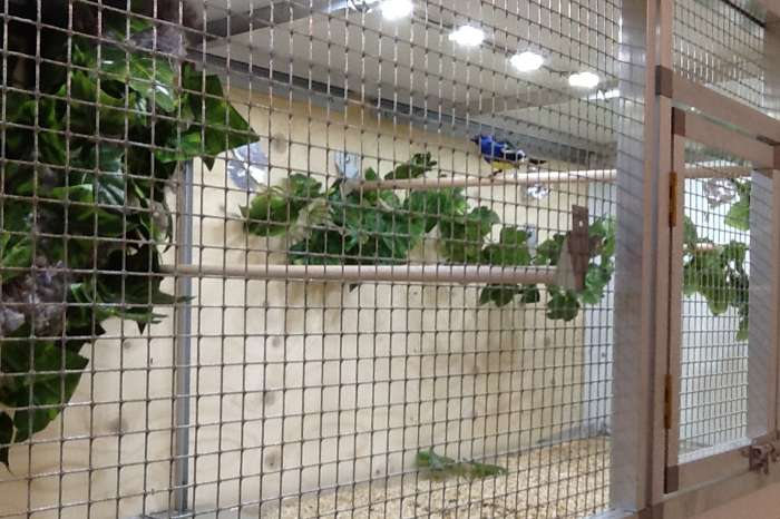 plug-in led verlichting, makkelijker kán niet!