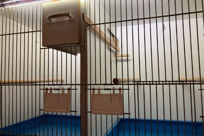 drie van keulen broedkooien.