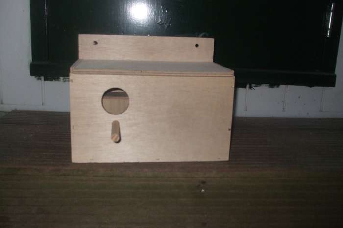 valkparkietenblokken