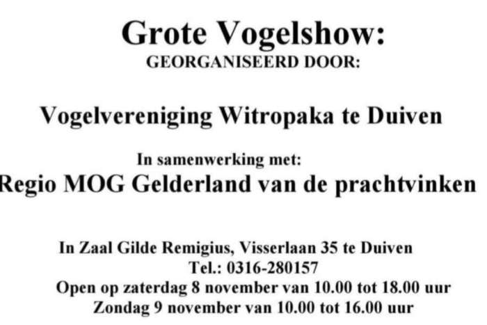 vogelshow v.v witropaka