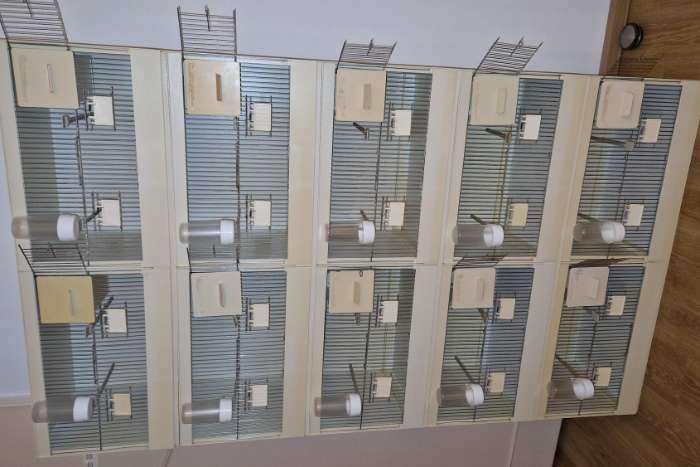 5 kooien 120+40*40 op te delen in 10 kooien van 60*40*40