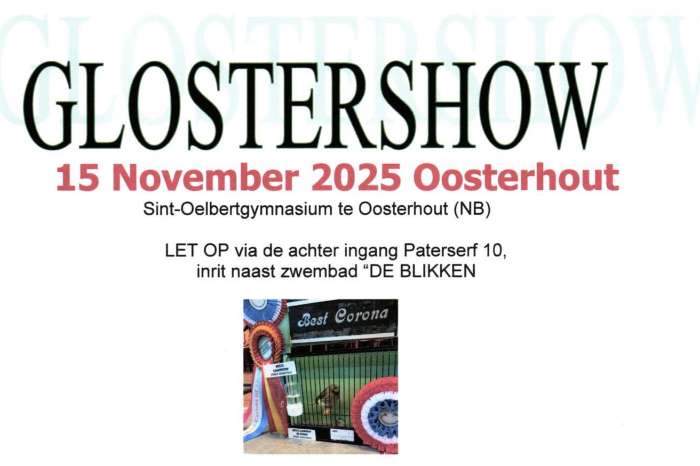 eendaagse gloster show, u kunt vandaag nog inschrijven