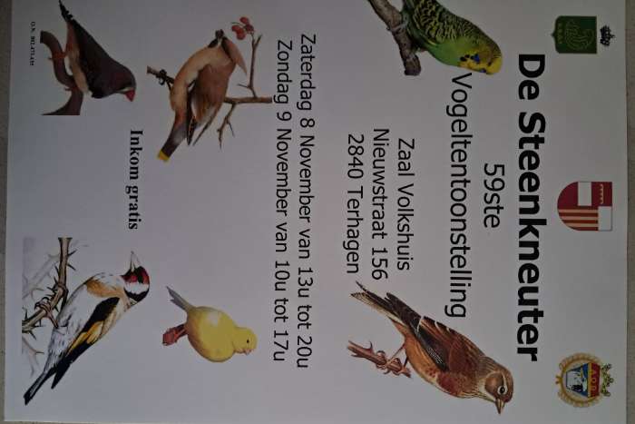 de steenkneuter vogeltentoonstelling