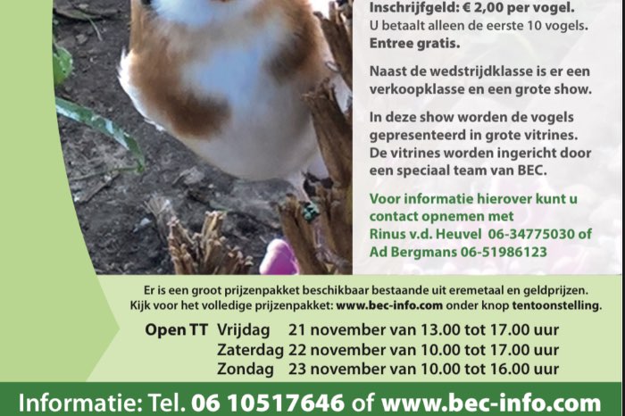 verkoopklasse europese vogels 21 t/m 23 november