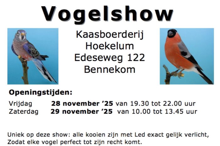 vogelshow bennekom