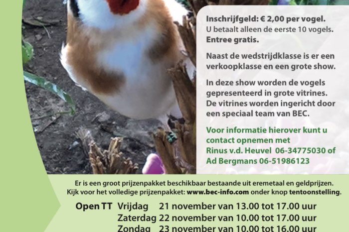 nationale kampioenschappen europese cultuurvogels 21 t/m 23-11