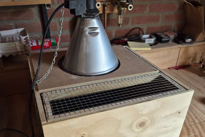 3 dezelfde opfokkooien voor kuikens