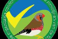 vogels beurs 't, sieske zaterdag 8 nov 25 elsloo