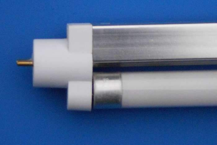 birdlights op vogelmarkt voorthuizen