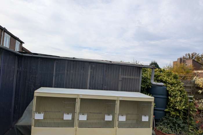 kunststof broedkooien te koop