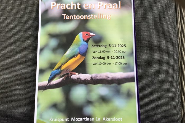 vogeltentoonstelling