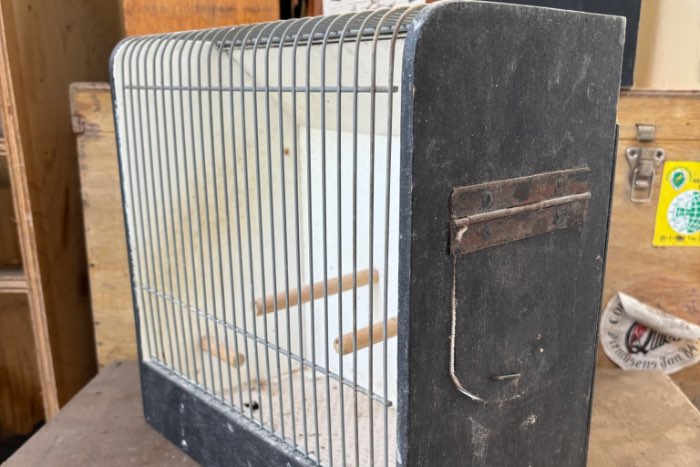 africht kooien tt kooien