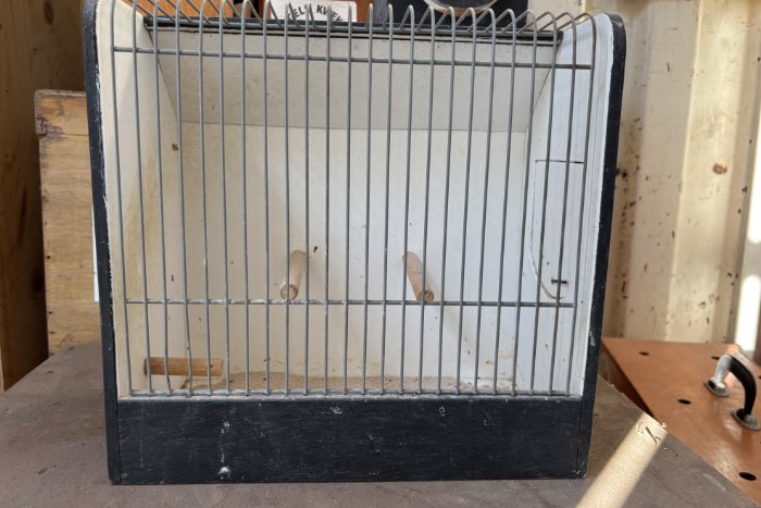 africht kooien tt kooien