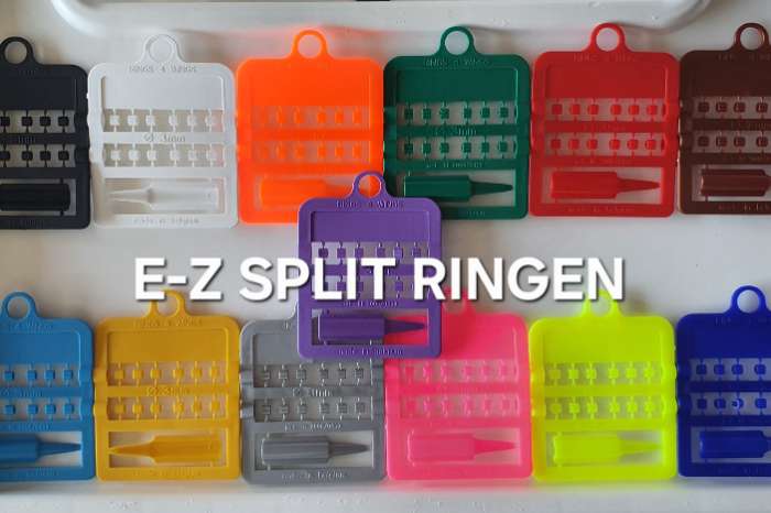 gesloten jaarringen 2026. kleur groen. ook nog 2025