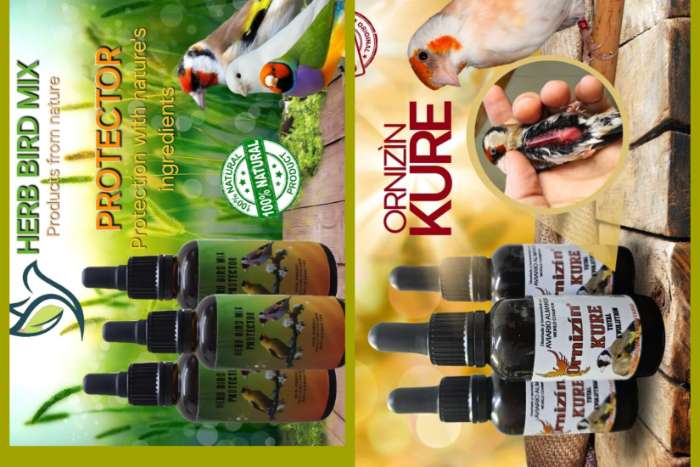 lijst oplossingen voor coccidiose en meer