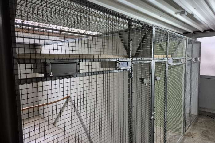 volieres, kooien en toe behoren