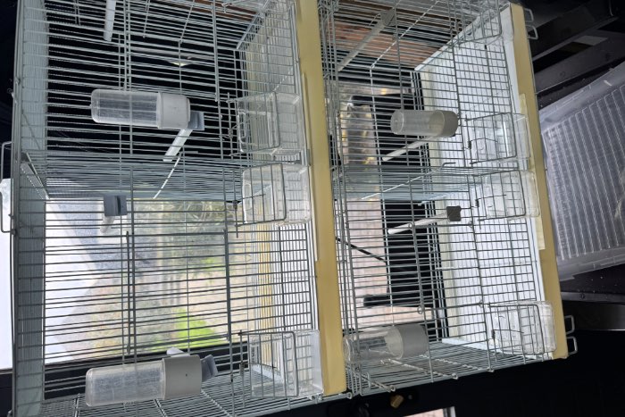 3 draadkooien in prima staat