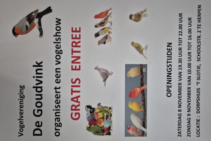 vogeltentoonstelling “de goudvink” herpen