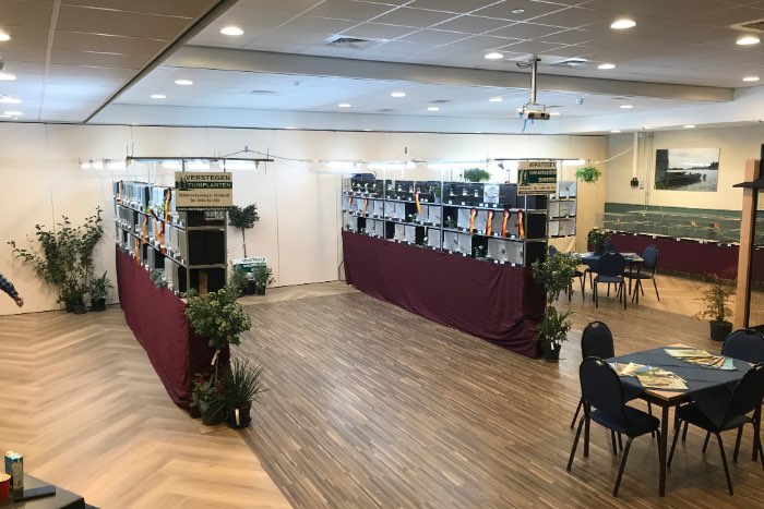 vogeltentoonstelling “de goudvink” herpen