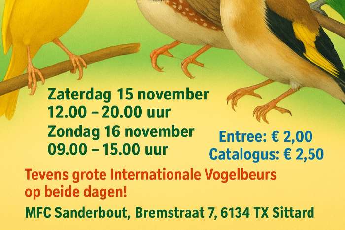 open limburgse grensregio vogelshow